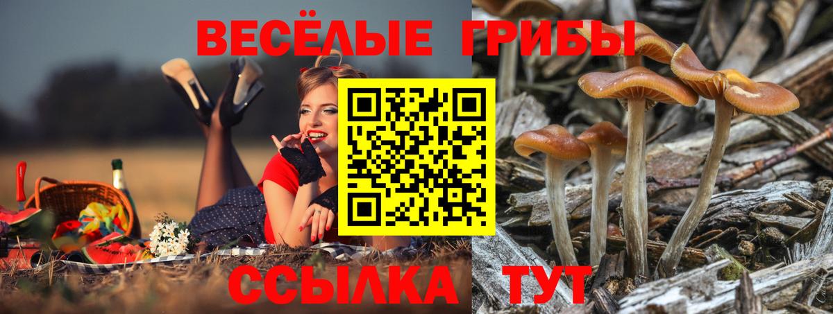 Псилоцибиновые грибы мухоморы  Вход с VPN  Узловая 